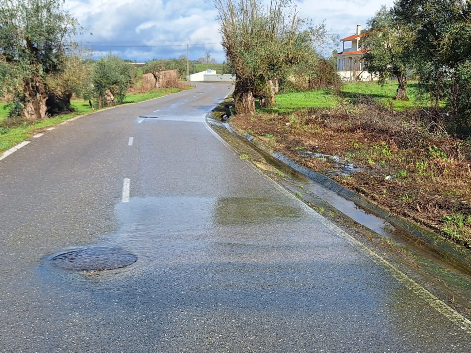 Esgotos a escoar para a via pública na freguesia de S. Pedro de Tomar 20251221 115803