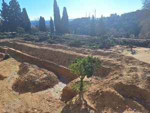 jardim convento 20251214 112608