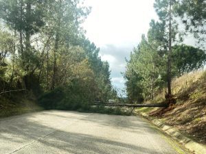 vento IMG 20251216 WA0008