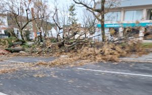Tempestade Kristin: as imagens da destruição 20260128 075315