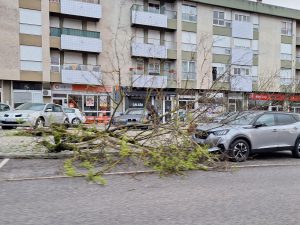 Tempestade Kristin: as imagens da destruição 20260128 075406