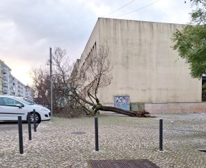 Tempestade Kristin: as imagens da destruição 20260128 075456