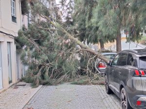 Tempestade Kristin: as imagens da destruição 20260128 080926