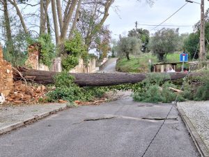 Tempestade Kristin: as imagens da destruição 20260128 081643