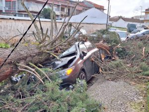 Tempestade Kristin: as imagens da destruição 20260128 081701