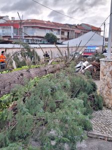 Tempestade Kristin: as imagens da destruição 20260128 081914
