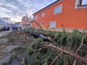 Tempestade Kristin: as imagens da destruição 20260128 082158