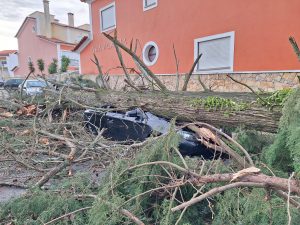 Tempestade Kristin: as imagens da destruição 20260128 082206
