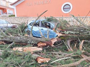 Tempestade Kristin: as imagens da destruição 20260128 082220