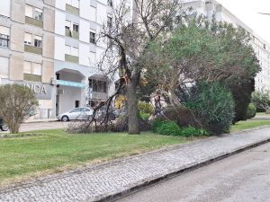 Tempestade Kristin: as imagens da destruição 20260128 082758