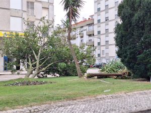 Tempestade Kristin: as imagens da destruição 20260128 082816