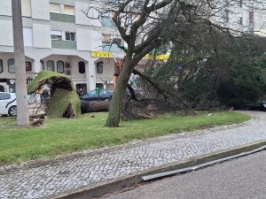 Tempestade Kristin: as imagens da destruição 20260128 082833