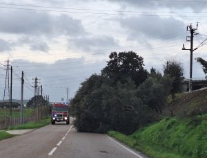 Tempestade Kristin: as imagens da destruição 20260128 083934