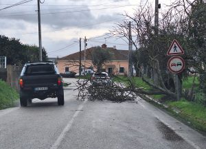 Tempestade Kristin: as imagens da destruição 20260128 084420