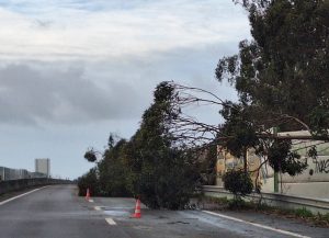 Tempestade Kristin: as imagens da destruição 20260128 084909