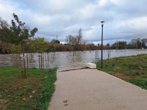 Parque verde do Flecheiro novamente inundado (c/ fotos e vídeo) Flecheiro 20260125 155857