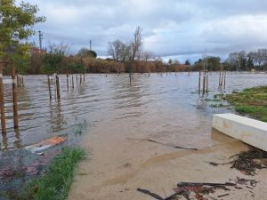 Parque verde do Flecheiro novamente inundado (c/ fotos e vídeo) Flecheiro 20260125 155907