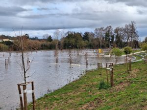 Parque verde do Flecheiro novamente inundado (c/ fotos e vídeo) Flecheiro 20260125 160014