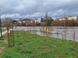 Parque verde do Flecheiro novamente inundado (c/ fotos e vídeo) Flecheiro 20260125 160425