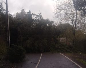 Tempestade Kristin: as imagens da destruição IMG 20260128 WA0031
