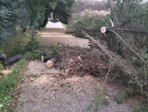 Tempestade Kristin: as imagens da destruição IMG 20260128 WA0034