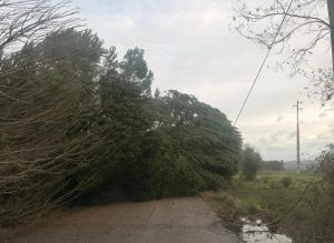 Tempestade Kristin: as imagens da destruição IMG 20260128 WA0039