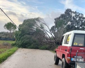 Tempestade Kristin: as imagens da destruição IMG 20260128 WA0040