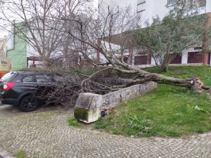 IMG 20260128 081058