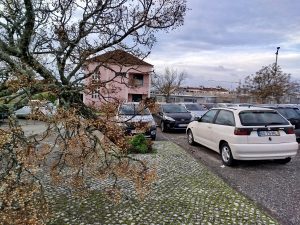 IMG 20260128 081700