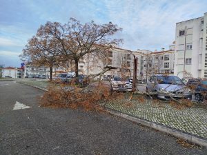 IMG 20260128 081709