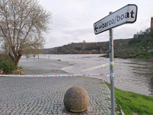 Nível do rio Tejo vai continuar a subir até quarta feira à noite (c/ fotos) cheias almourol 20260124 173407