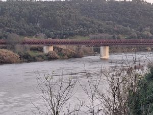 Nível do rio Tejo vai continuar a subir até quarta feira à noite (c/ fotos) cheias constancia 20260124 175208