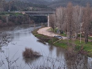 Nível do rio Tejo vai continuar a subir até quarta feira à noite (c/ fotos) cheias constancia 20260124 175315