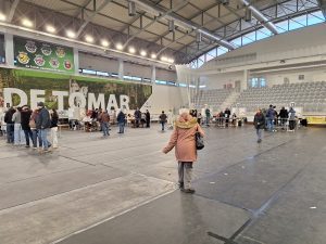 Eleições presidenciais: votação decorre com normalidade em Tomar eleicoes presidenciais pavilhao 20260118 112040