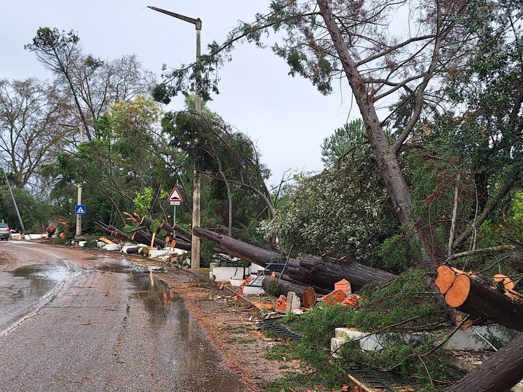 tempestade 20260129 112822