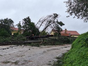 FZ tempestade 20260129 120128
