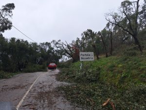 FZ tempestade 20260129 120238