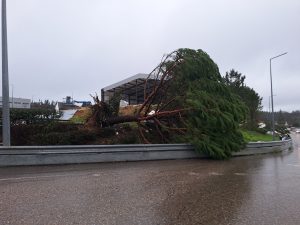 FZ tempestade 20260129 120856