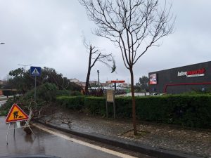 FZ tempestade 20260129 121302