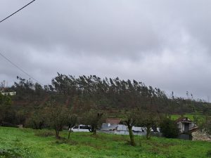 FZ tempestade 20260129 122224