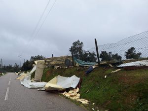 FZ tempestade 20260129 123006