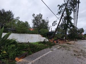 FZ tempestade 20260129 124609