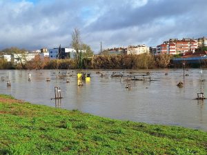 Imagens das cheias em Tomar (c/ fotos e vídeo) cheias 2026 20260206 095432