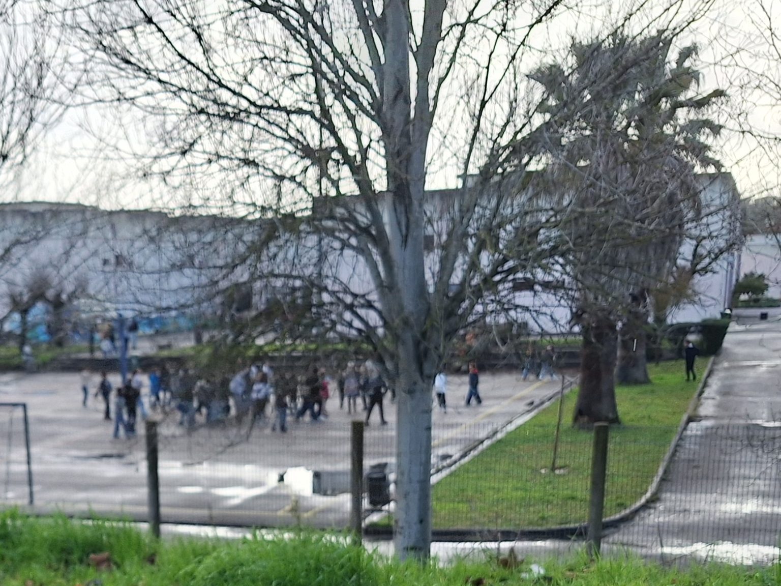 escola santa iria 20260202 152800