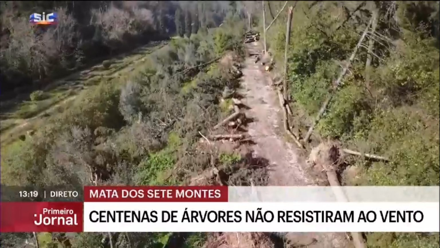 SIC emite reportagem sobre estragos na Mata dos Sete Montes mata sic
