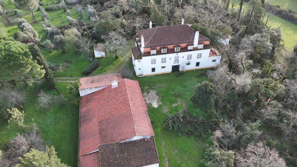 Mais de 200 árvores destruídas na quinta das Avessadas (C/ fotos e vídeo) quinta avessadas