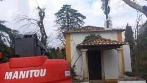 Mais de 200 árvores destruídas na quinta das Avessadas (C/ fotos e vídeo) quinta das avessadas 1223936269942798 2614615265489640224 n
