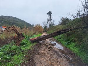 tempestade acude vala 20260201 113531