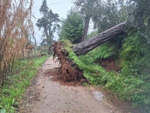 tempestade acude vala20260201 113751