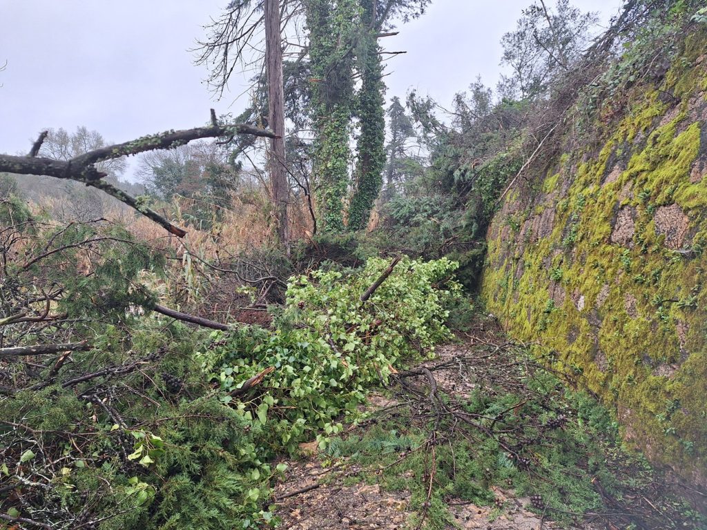 tempestade acude vala20260201 113835